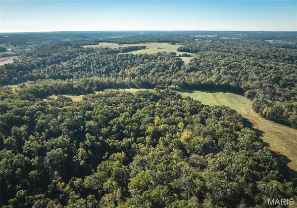 $1,595,000 | 56 Osage Meadows Lane, Bland, MO 65014