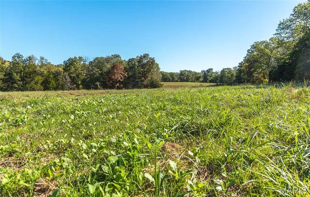 $1,650,000 | 56 Osage Meadows Lane, Bland, MO 65014