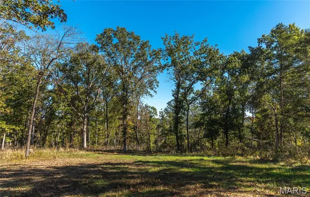 $1,650,000 | 56 Osage Meadows Lane, Bland, MO 65014