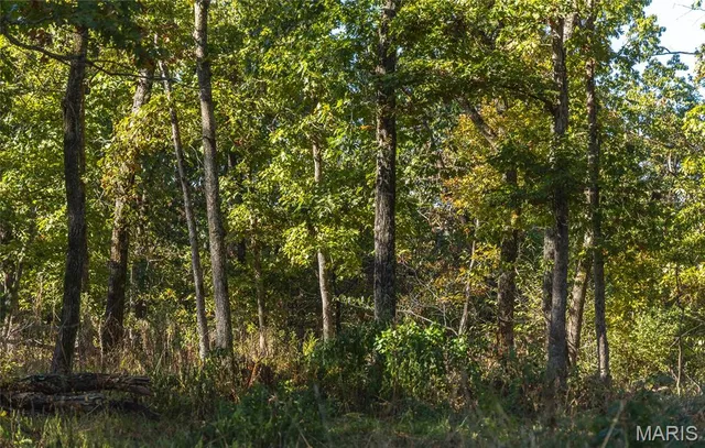 $1,650,000 | 56 Osage Meadows Lane, Bland, MO 65014