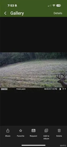 $1,650,000 | 56 Osage Meadows Lane, Bland, MO 65014