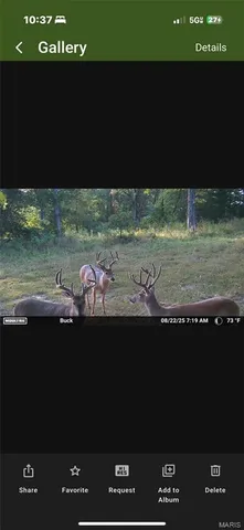 $1,650,000 | 56 Osage Meadows Lane, Bland, MO 65014