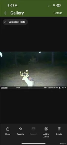 $1,650,000 | 56 Osage Meadows Lane, Bland, MO 65014