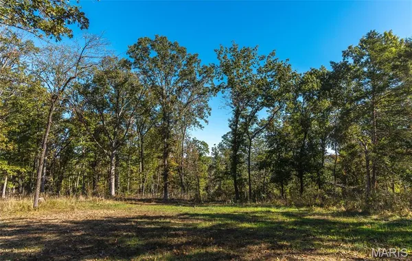 $1,595,000 | 56 Osage Meadows Lane, Bland, MO 65014