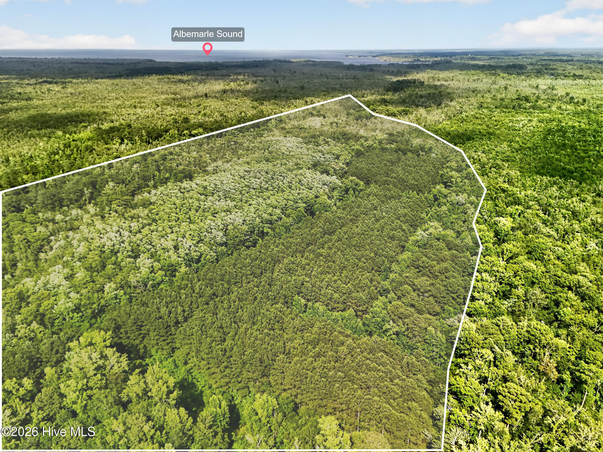 Tbd Pearidge Road Roper, NC 27970 - Photo 2 of 23