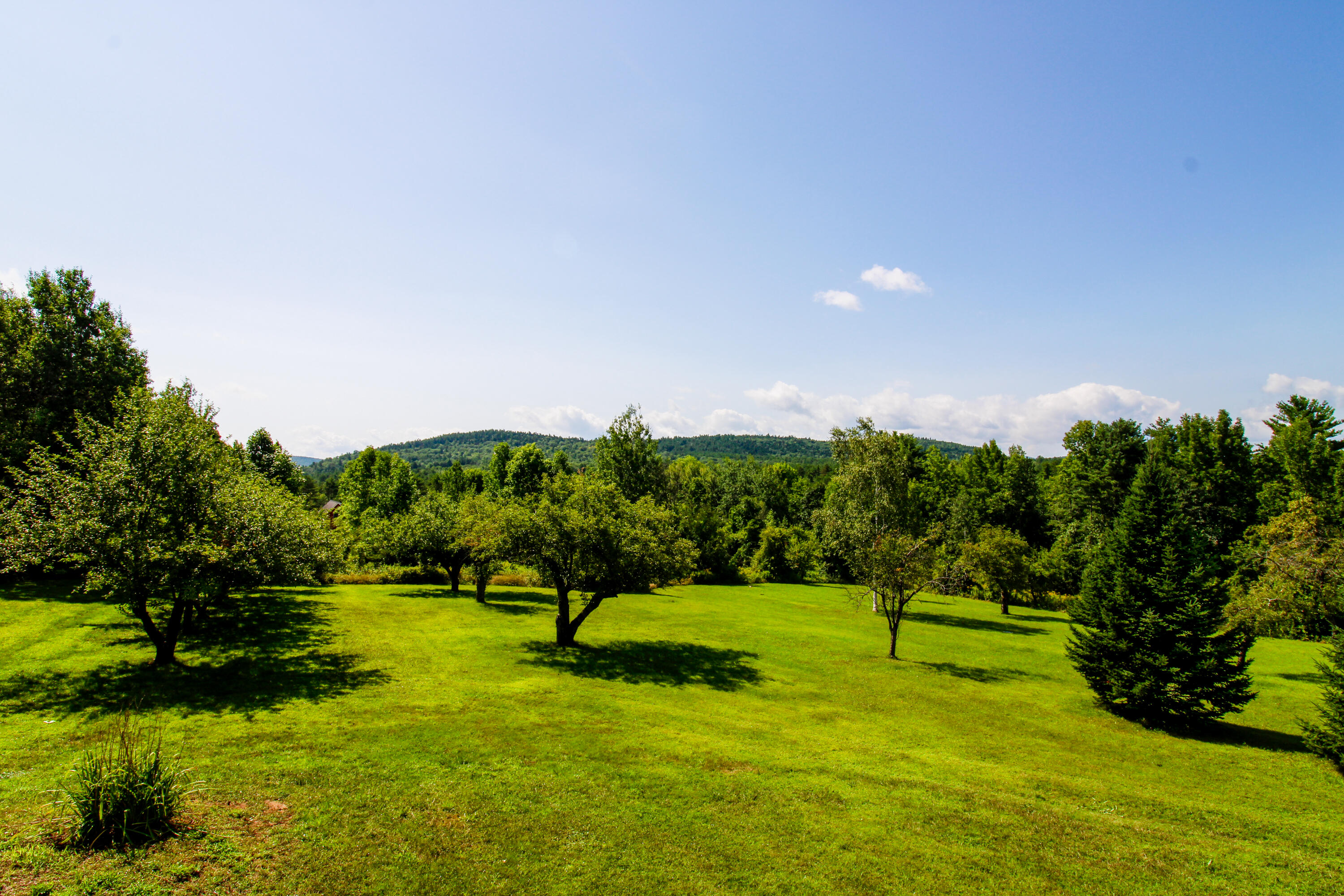 230 Plummer Hill Road Waterford, ME 04088 - Photo 15 of 35 Backyard