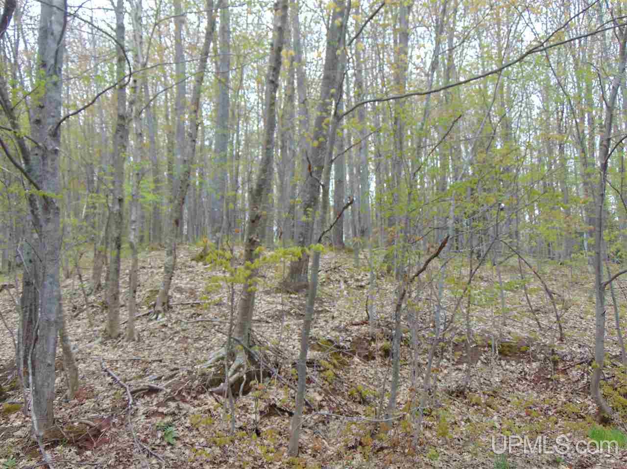 34861 Apple Seed Road, Unit TAPIOLA Chassell, MI 49916 - Photo 57 of 61