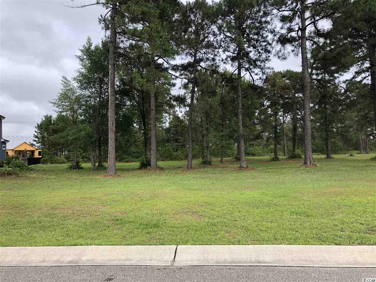 972 Fiddlehead Way Myrtle Beach, SC 29579 - Photo 1 of 7 Gallery Image 1