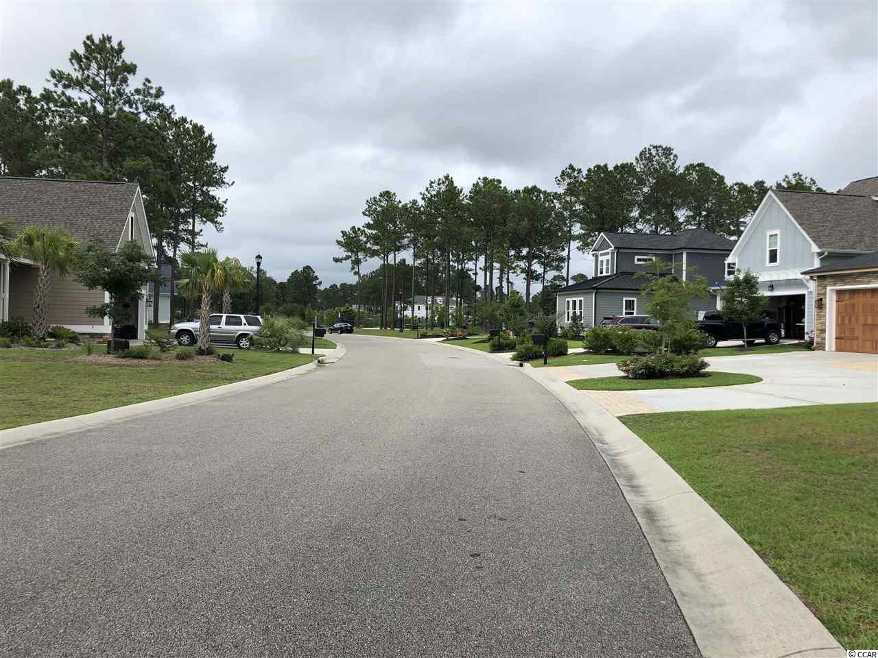 972 Fiddlehead Way Myrtle Beach, SC 29579 - Photo 2 of 7 Gallery Image 2