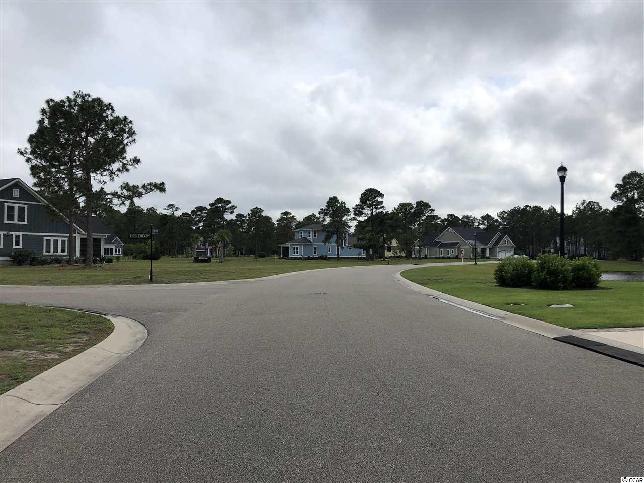 972 Fiddlehead Way Myrtle Beach, SC 29579 - Photo 3 of 7 Gallery Image 3