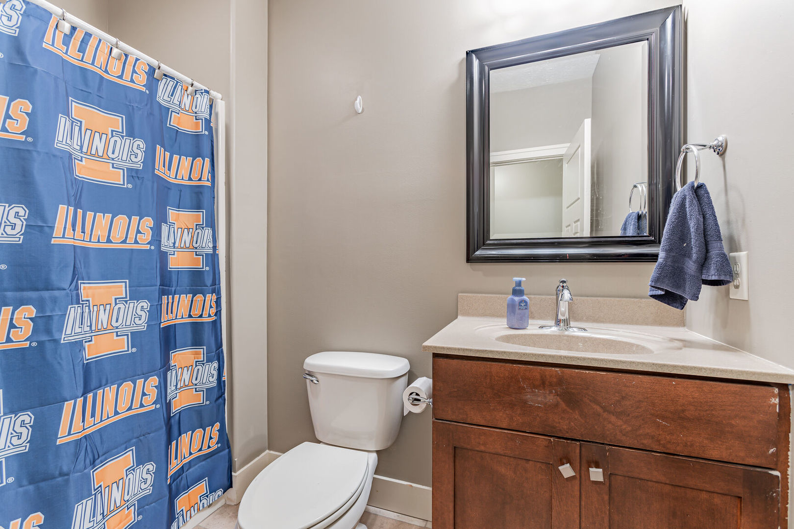5 Fletcher Court Savoy, IL 61874 - Photo 39 of 48 a bathroom with a toilet sink and mirror