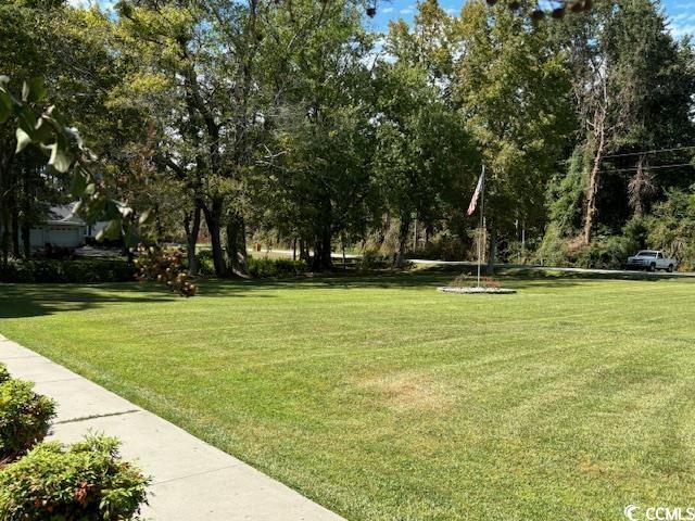 2477 Pleasant Grove Road Loris, SC 29569 - Photo 19 of 25 View of green lawn