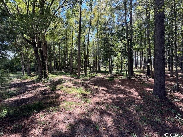 2477 Pleasant Grove Road Loris, SC 29569 - Photo 20 of 25 View of tree filled area