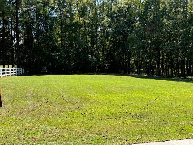 2477 Pleasant Grove Road Loris, SC 29569 - Photo 21 of 25 View of yard