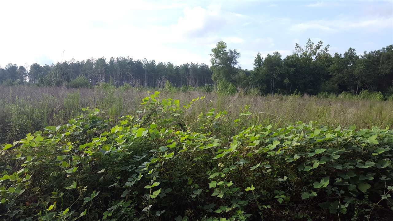 17.5-acres Ramage Road Townville, SC 29689 - Photo 4 of 13 Gallery Image 4