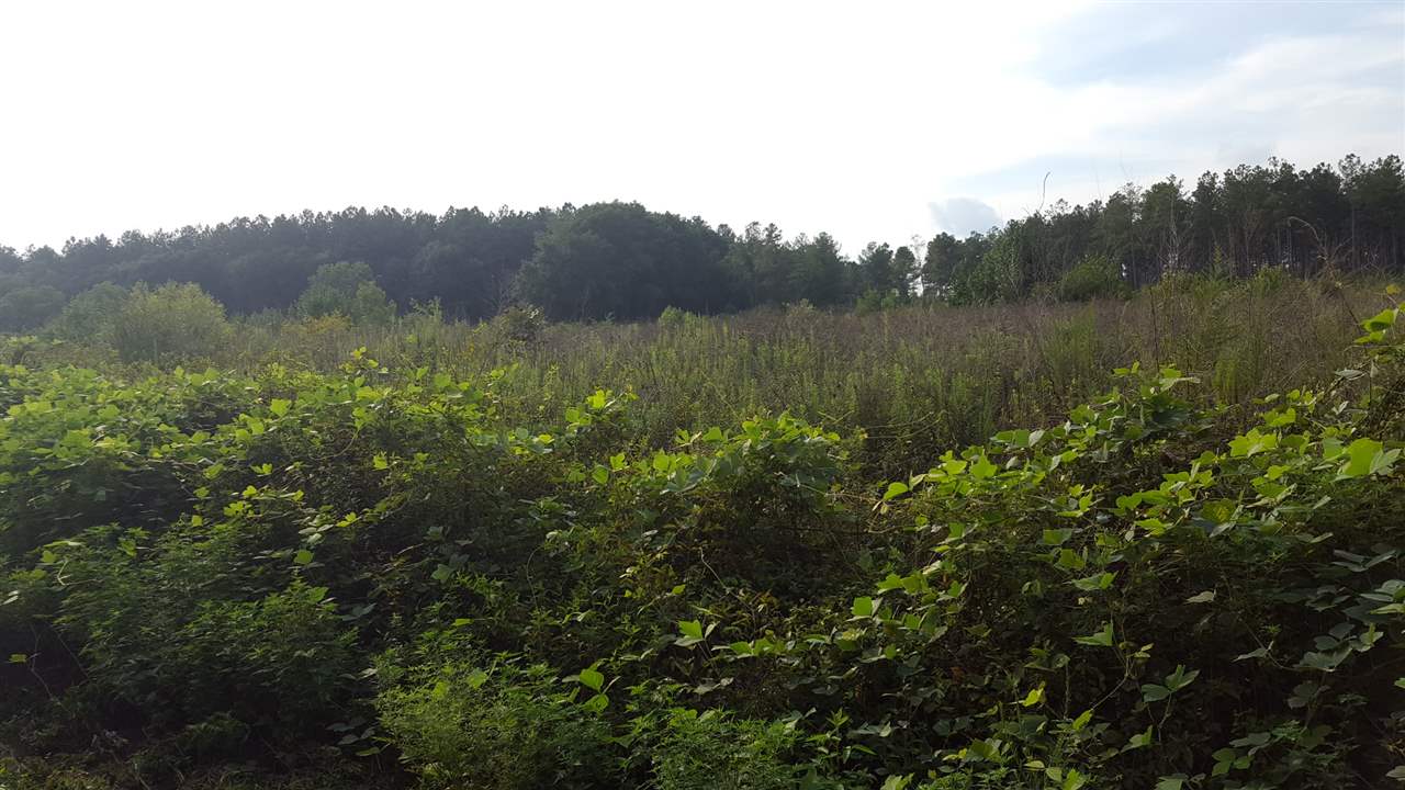 17.5-acres Ramage Road Townville, SC 29689 - Photo 5 of 13 Gallery Image 5
