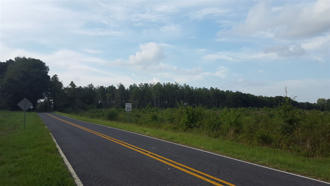 17.5-acres Ramage Road Townville, SC 29689 - Photo 8 of 13 Gallery Image 8