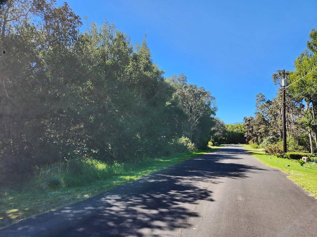 10 Lot 10 Painiu Loop Volcano, HI 96785 - Photo 6 of 7 a view of street with trees around