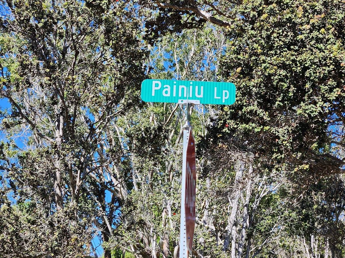 10 Lot 10 Painiu Loop Volcano, HI 96785 - Photo 7 of 7 a street sign on a pole