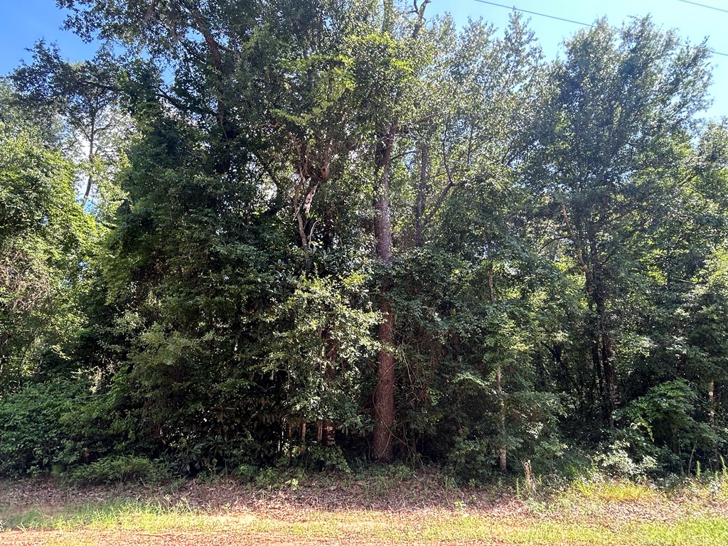19.16-ac 19.16-ac Ramer Loop Cottonwood, AL 36320 - Photo 10 of 34
