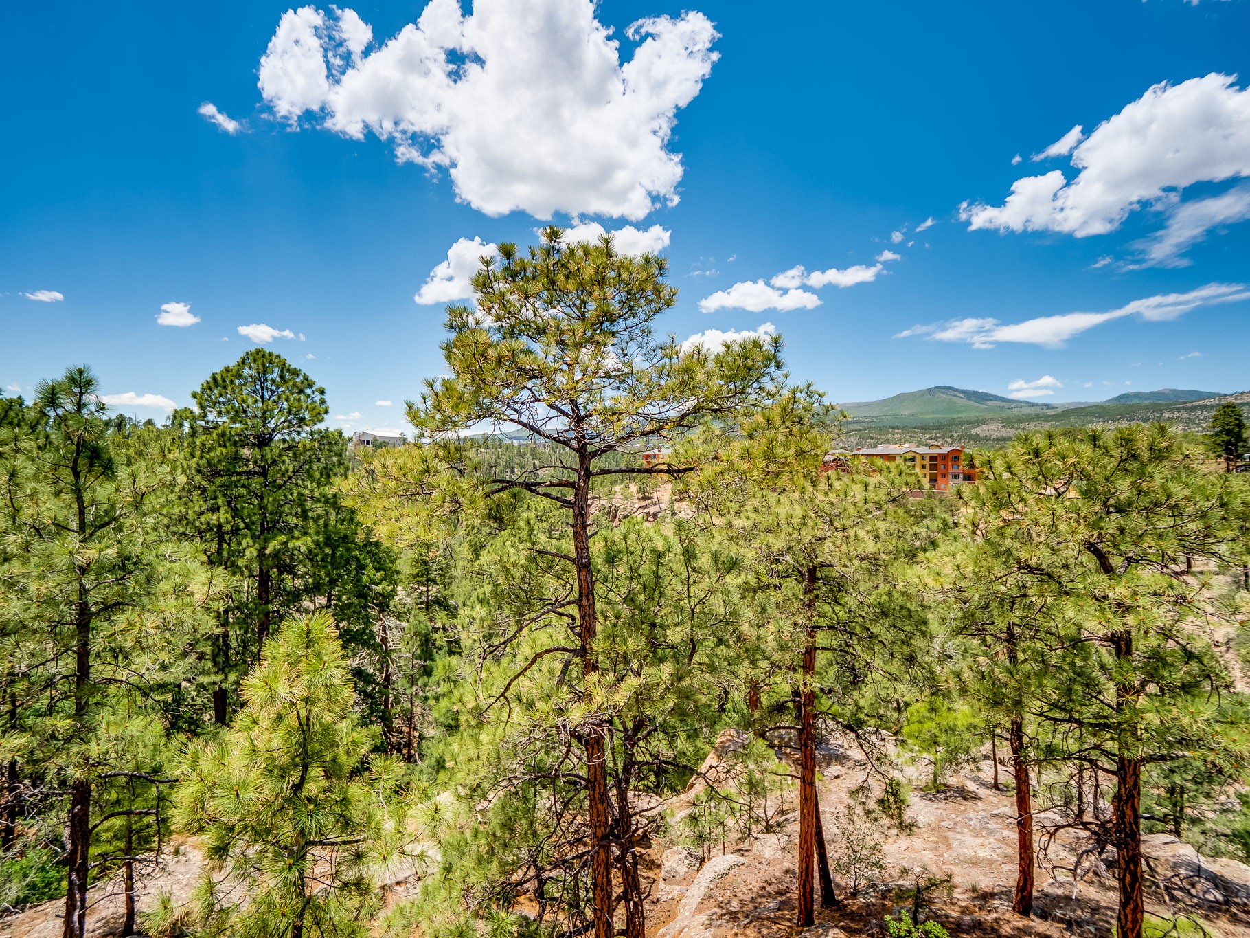60 Canyon View Road Los Alamos, NM 87544 - Photo 60 of 67