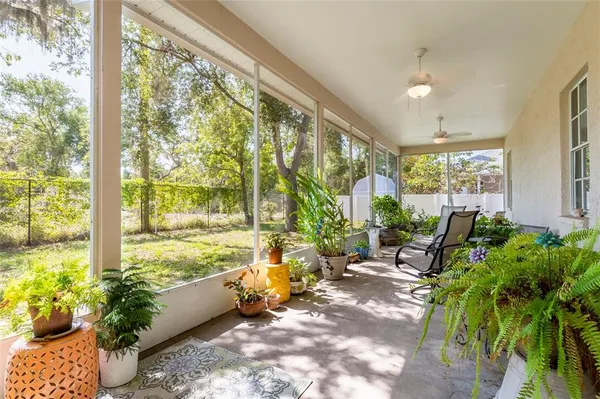a living room filled with furniture and a potted plant