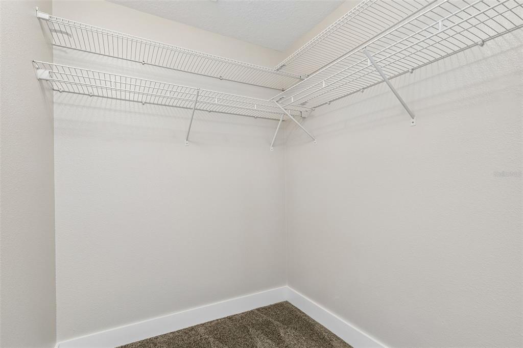32323 Fish Hook Loop Wesley Chapel, FL 33545 - Photo 27 of 76