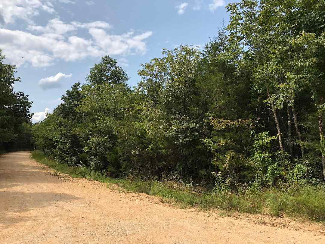 0 Buttam Hollow Road Clifton, TN 38425 - Photo 8 of 8 Gallery Image 8