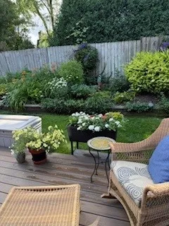 a view of a garden with chairs potted plants