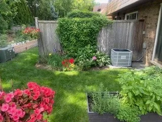 a view of a backyard with plants and large trees