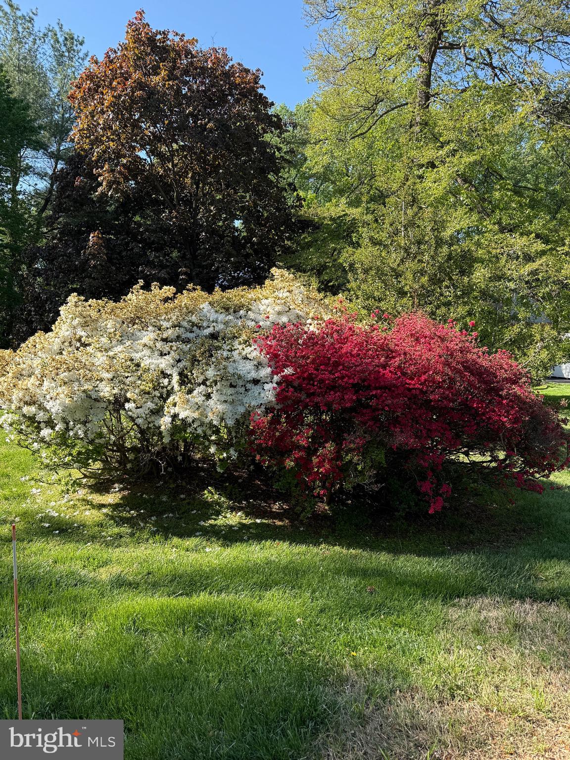 15220 Redgate Drive Silver Spring, MD 20905 - Photo 4 of 4