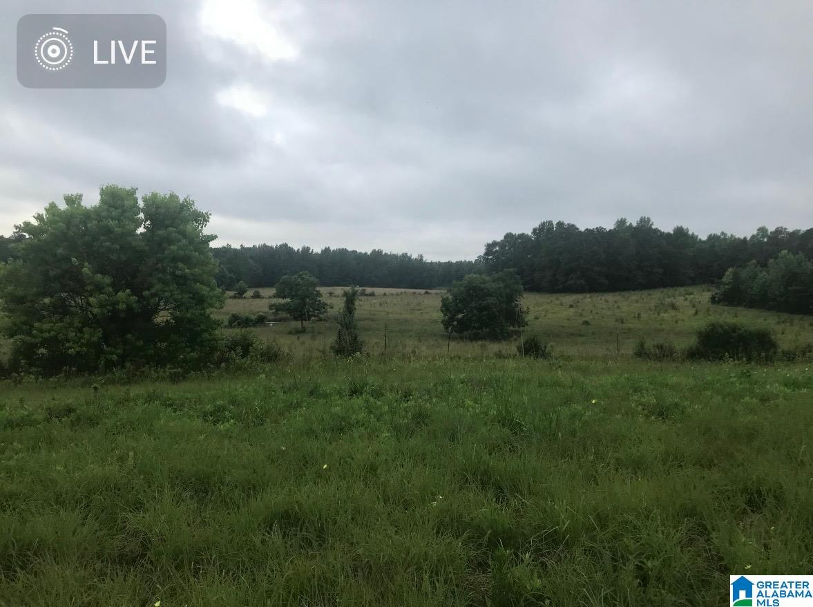 0 New Harmony Road, Unit 35 ACRES / Clanton, AL 35045 - Photo 20 of 21