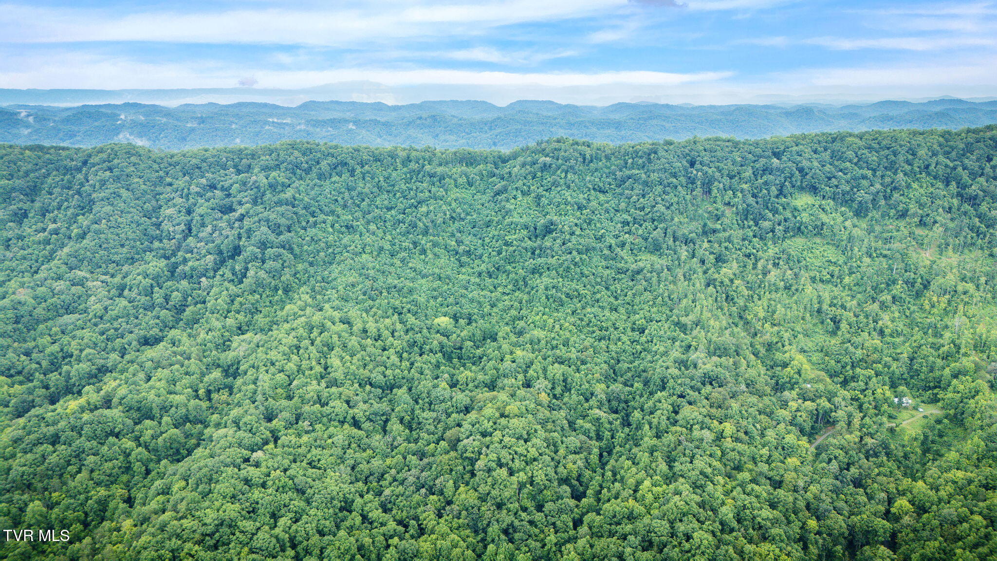 Tbd Clinch Mountain Road Eidson, TN 37731 - Photo 39 of 46 106