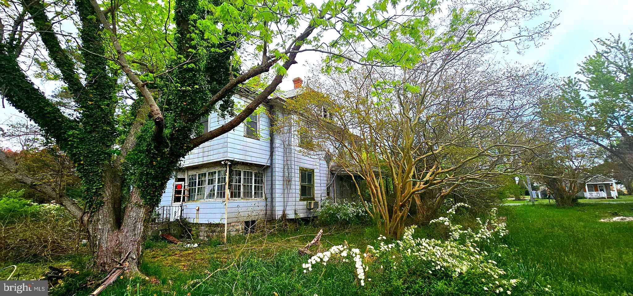 23450 Deal Island Road Deal Island, MD 21821 - Photo 4 of 9