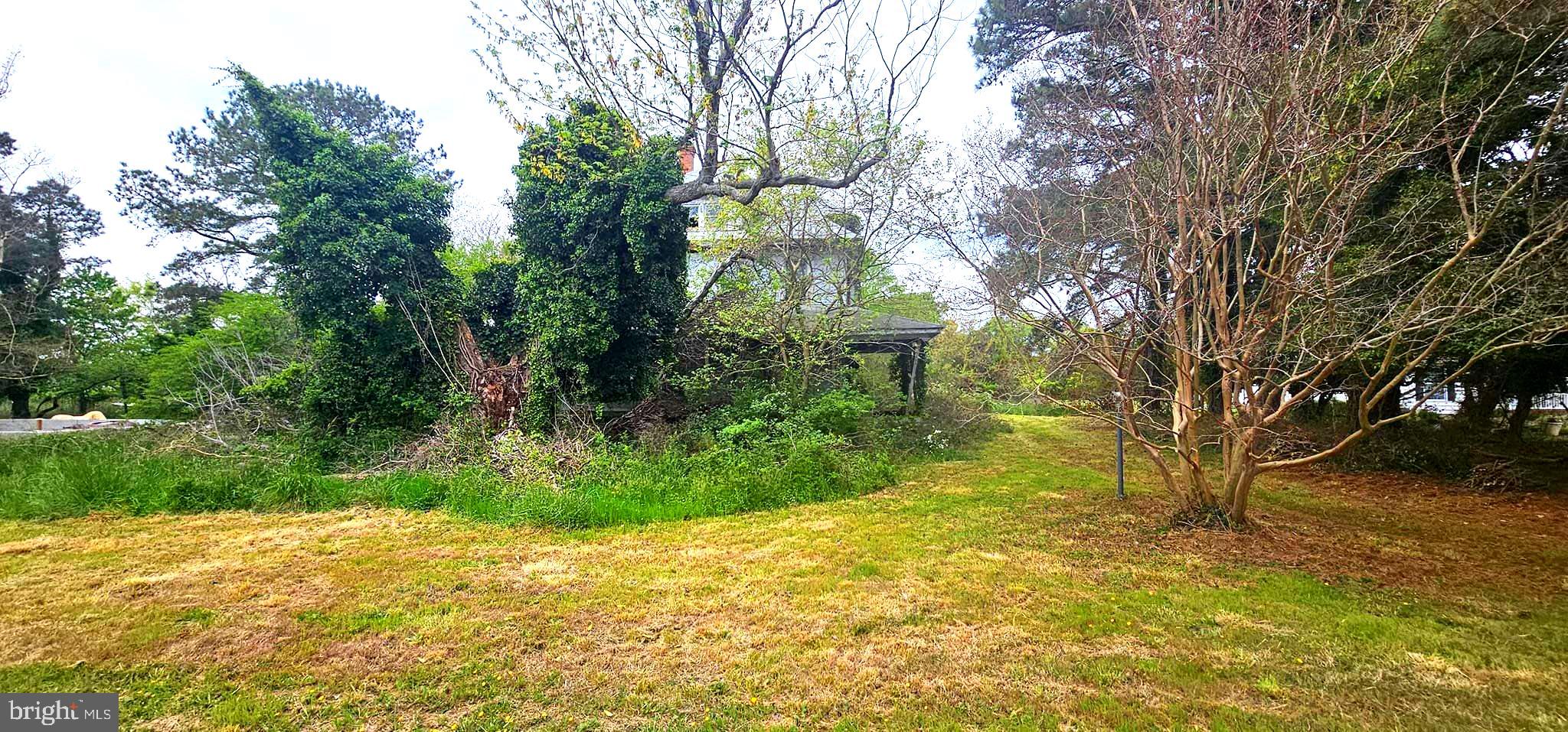 23450 Deal Island Road Deal Island, MD 21821 - Photo 6 of 9