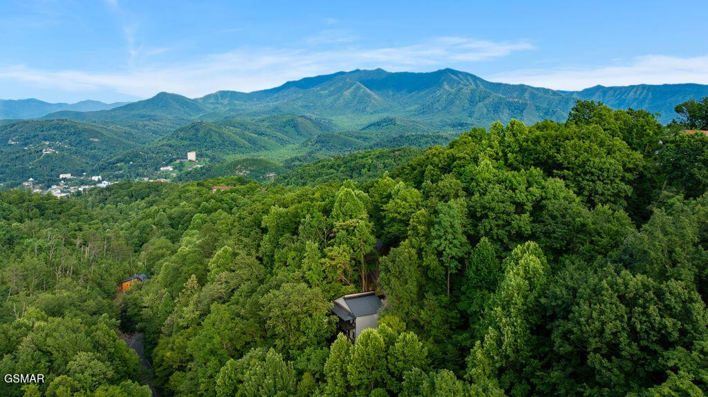 972 Stans Road Gatlinburg, TN 37738 - Photo 61 of 63 Gallery Image 61