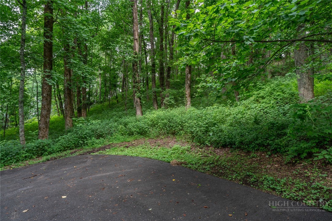 Lot 4 Old Orchard Road Lenoir, NC 28645 - Photo 19 of 23