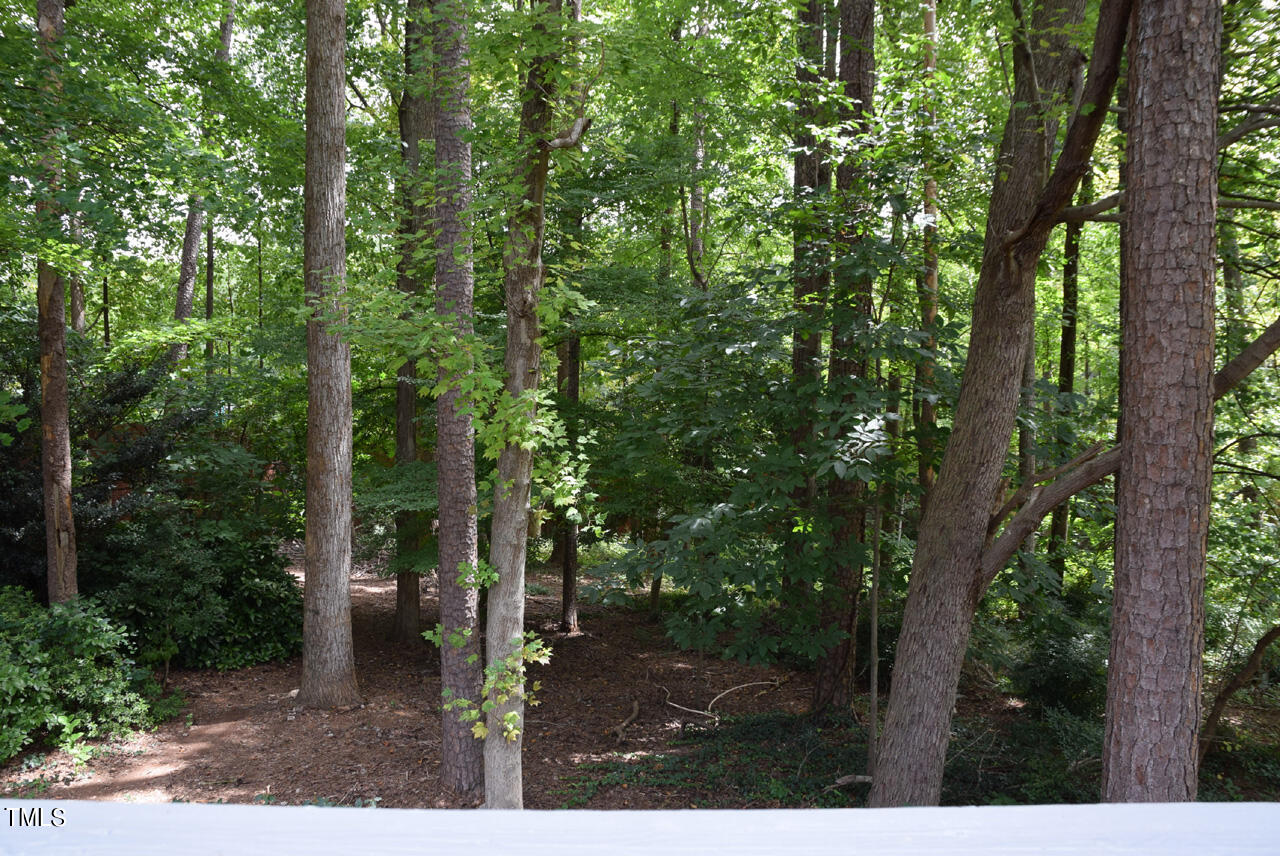 2837 Rue Sans Famille Raleigh, NC 27607 - Photo 29 of 34 Deck View