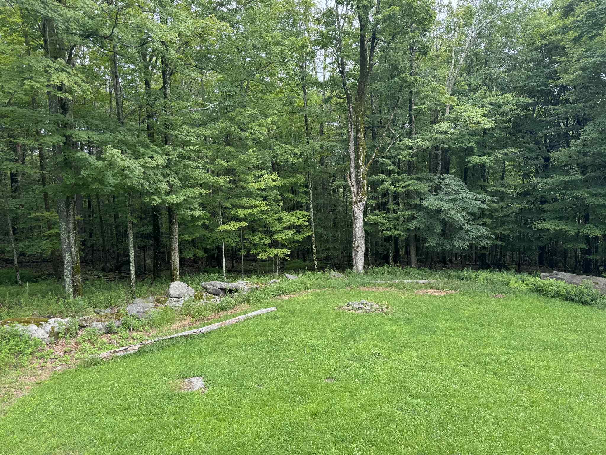 108 Todd Road Woodbourne, NY 12788 - Photo 3 of 13 View of yard featuring a view of trees