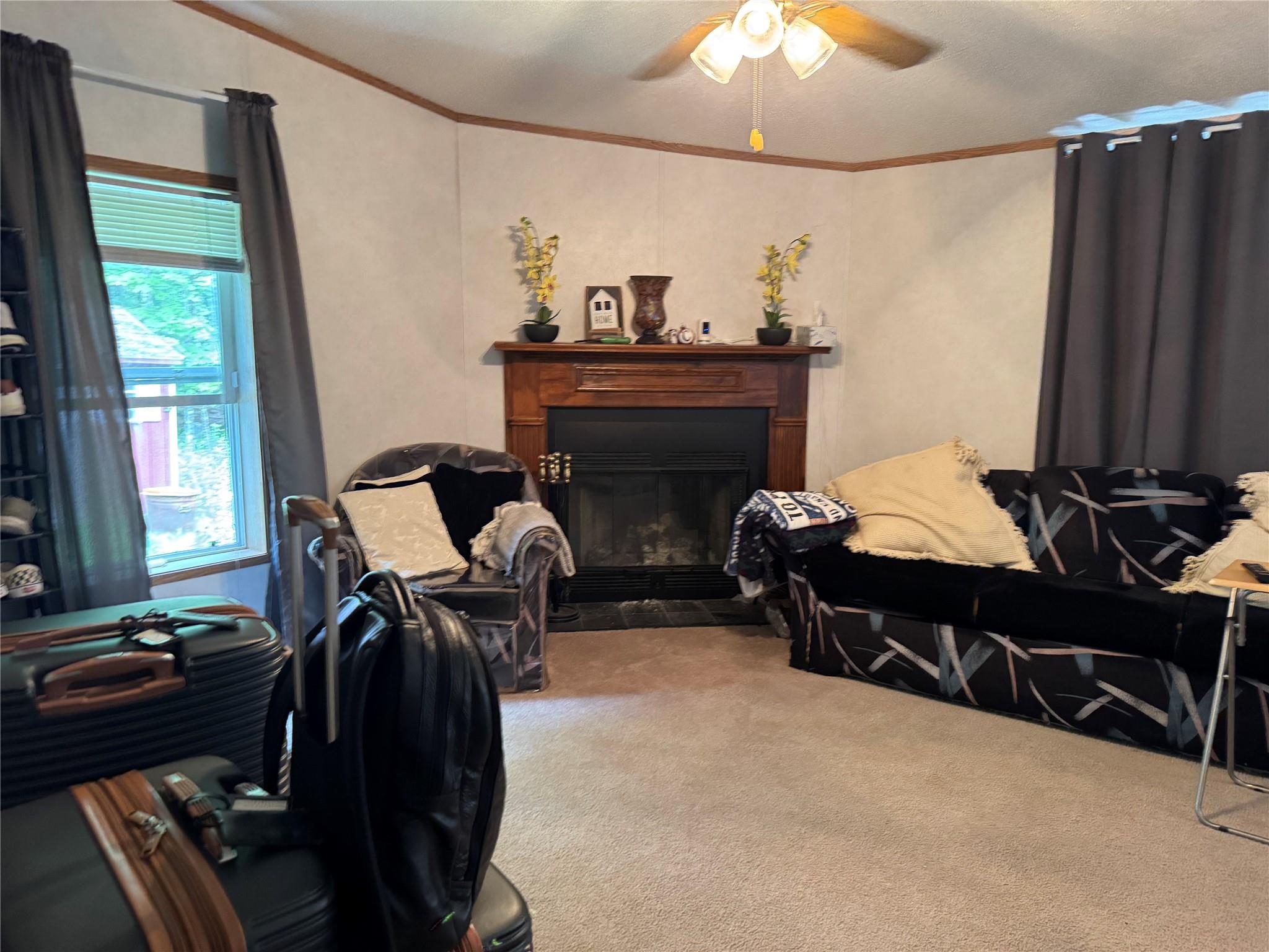 108 Todd Road Woodbourne, NY 12788 - Photo 5 of 13 Living room featuring carpet, crown molding, a ceiling fan, and a fireplace with raised hearth