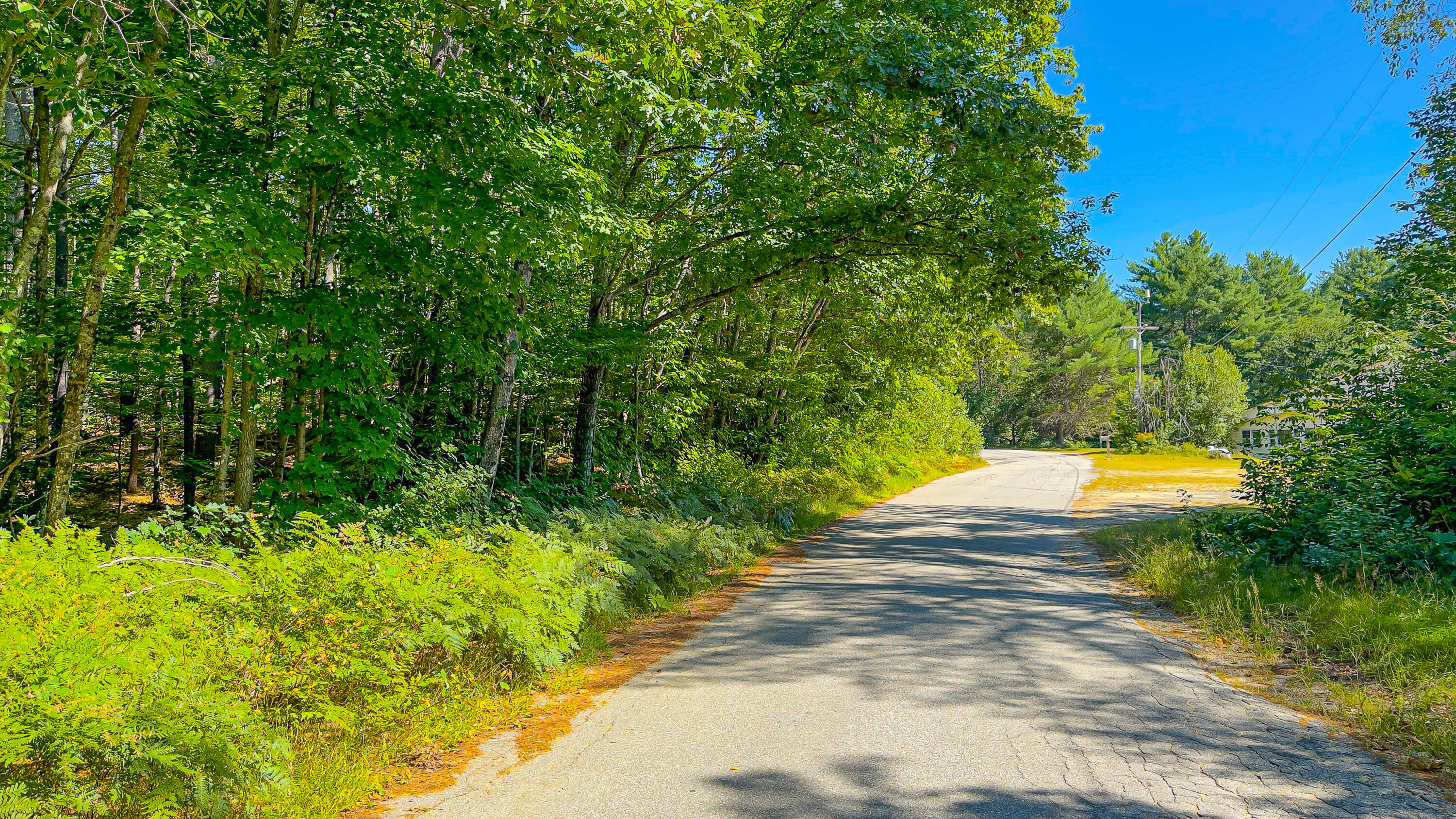 32 Mcallister Road Stoneham, ME 04231 - Photo 7 of 14 mcallister road land stoneham-8