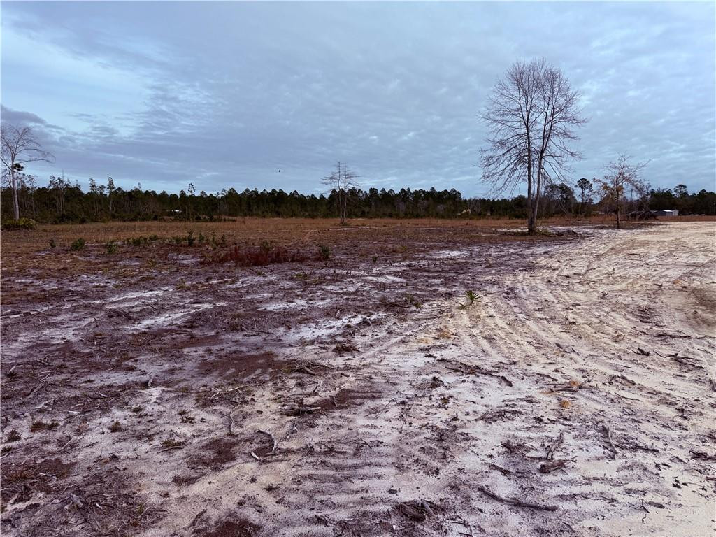 Lot 10 Wiregrass Lane, Unit 10 Waycross, GA 31503 - Photo 2 of 6 Photo 2