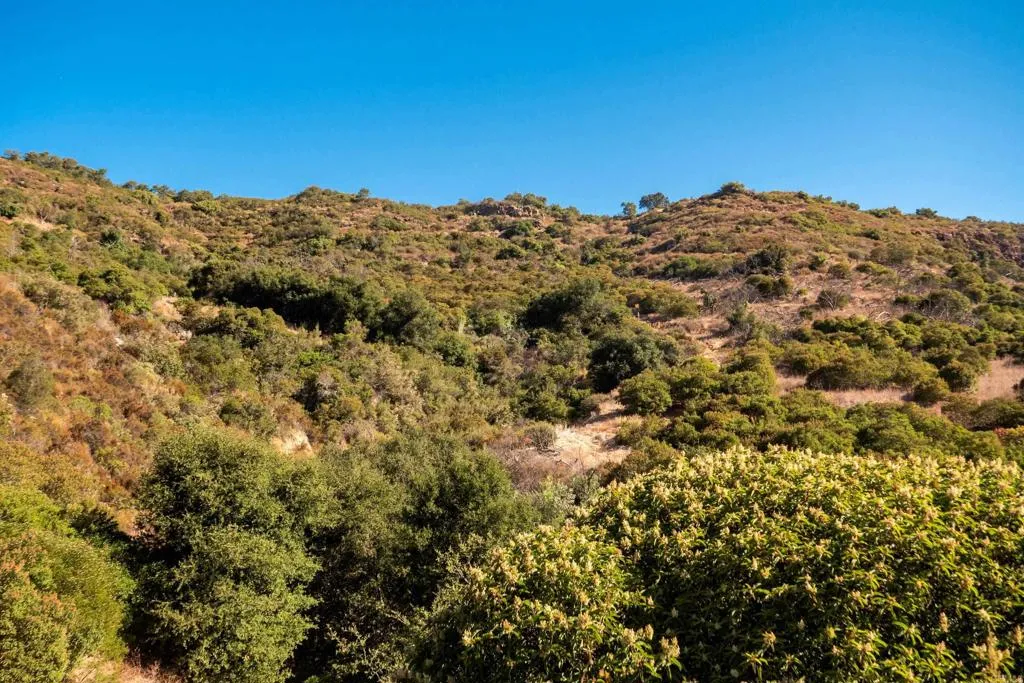 27 El Calamar Road Temecula, CA 92590 - Photo 16 of 33 a view of a large mountain