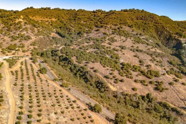 a view of a dry yard with mountains in the background