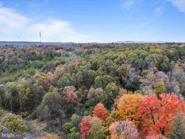 a view of a bunch of flowers and trees