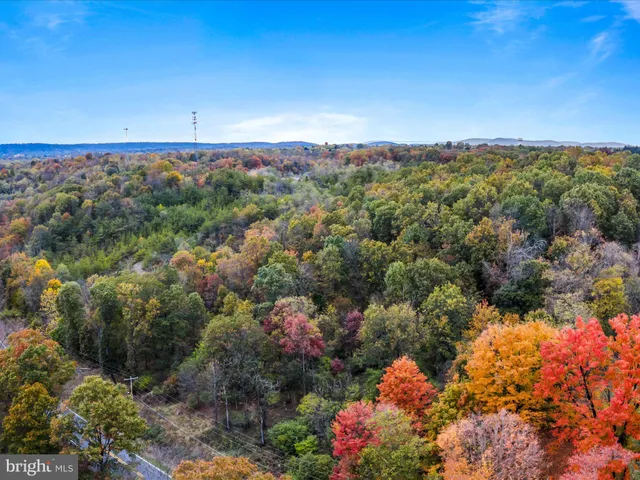 a view of a city with lush green forest