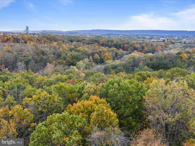 a view of a city with lush green forest