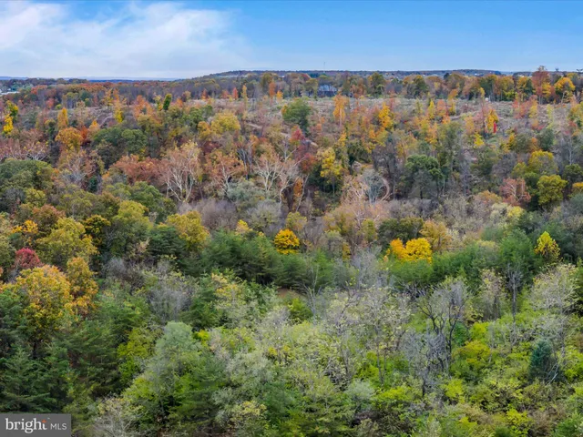 a view of a houses with a lush green forest