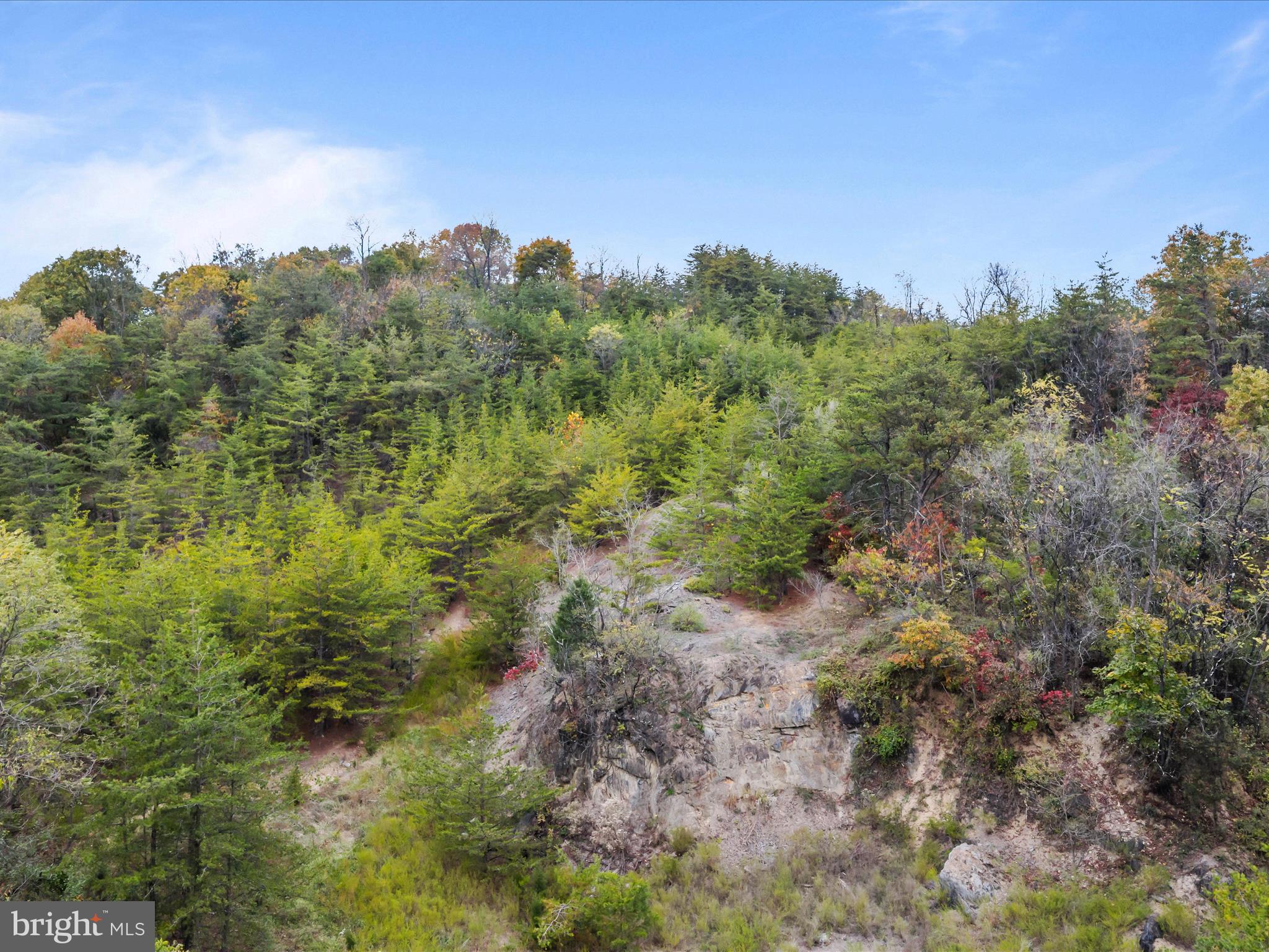 Golf Course Road Martinsburg, WV 25404 - Photo 2 of 26 a view of a yard with a tree in the background