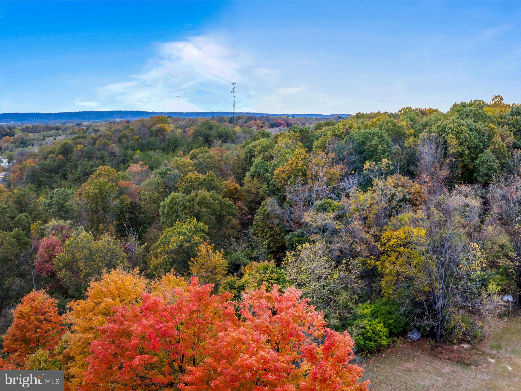 Golf Course Road Martinsburg, WV 25404 - Photo 23 of 26 a view of a bunch of flowers and trees